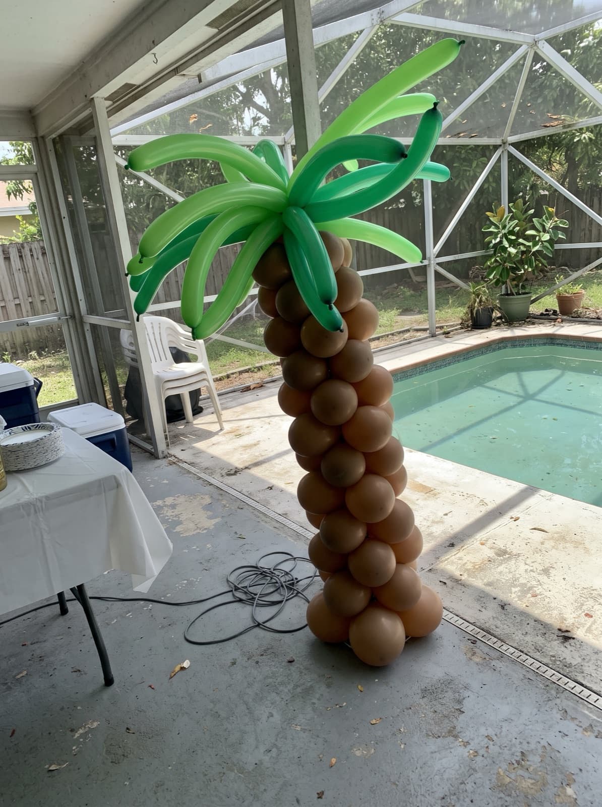Palm tree balloon column beside a screened-in pool